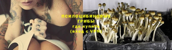 молекула духа Алзамай